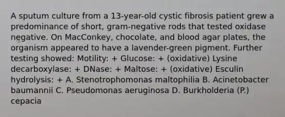 A sputum culture from a 13-year-old cystic fibrosis patient grew a predominance of short, gram-negative rods that tested oxidase negative. On MacConkey, chocolate, and blood agar plates, the organism appeared to have a lavender-green pigment. Further testing showed: Motility: + Glucose: + (oxidative) Lysine decarboxylase: + DNase: + Maltose: + (oxidative) Esculin hydrolysis: + A. Stenotrophomonas maltophilia B. Acinetobacter baumannii C. Pseudomonas aeruginosa D. Burkholderia (P.) cepacia