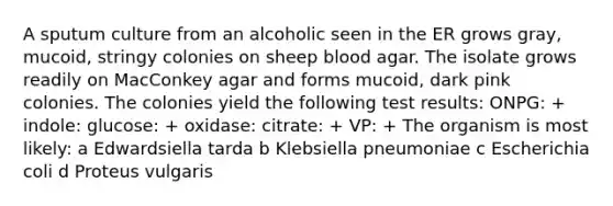 A sputum culture from an alcoholic seen in the ER grows gray, mucoid, stringy colonies on sheep blood agar. The isolate grows readily on MacConkey agar and forms mucoid, dark pink colonies. The colonies yield the following test results: ONPG: + indole: glucose: + oxidase: citrate: + VP: + The organism is most likely: a Edwardsiella tarda b Klebsiella pneumoniae c Escherichia coli d Proteus vulgaris