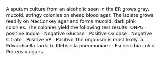 A sputum culture from an alcoholic seen in the ER grows gray, mucoid, stringy colonies on sheep blood agar. The isolate grows readily on MacConkey agar and forms mucoid, dark pink colonies. The colonies yield the following test results: ONPG - positive Indole - Negative Glucose - Positive Oxidase - Negative Citrate - Positive VP - Positive The organism is most likely: a. Edwardsiella tarda b. Klebsiella pneumoniae c. Escherichia coli d. Proteus vulgaris