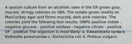 A sputum culture from an alcoholic seen in the ER grows gray, mucoid, stringy colonies on SBA. The isolate grows readily on MacConkey agar and forms mucoid, dark pink colonies. The colonies yield the following test results: ONPG positive indole - negative glucose - positive oxidase - negative citrate - positive VP - positive The organism is most likely: a. Edwardsiella tarda b. Klebsiella pneumoniae c. Escherichia coli d. Proteus vulgaris