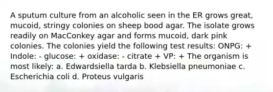 A sputum culture from an alcoholic seen in the ER grows great, mucoid, stringy colonies on sheep bood agar. The isolate grows readily on MacConkey agar and forms mucoid, dark pink colonies. The colonies yield the following test results: ONPG: + Indole: - glucose: + oxidase: - citrate + VP: + The organism is most likely: a. Edwardsiella tarda b. Klebsiella pneumoniae c. Escherichia coli d. Proteus vulgaris