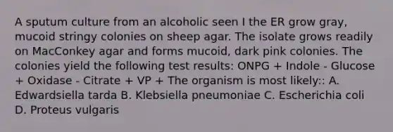 A sputum culture from an alcoholic seen I the ER grow gray, mucoid stringy colonies on sheep agar. The isolate grows readily on MacConkey agar and forms mucoid, dark pink colonies. The colonies yield the following test results: ONPG + Indole - Glucose + Oxidase - Citrate + VP + The organism is most likely:: A. Edwardsiella tarda B. Klebsiella pneumoniae C. Escherichia coli D. Proteus vulgaris