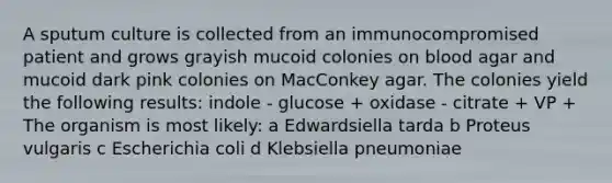 A sputum culture is collected from an immunocompromised patient and grows grayish mucoid colonies on blood agar and mucoid dark pink colonies on MacConkey agar. The colonies yield the following results: indole - glucose + oxidase - citrate + VP + The organism is most likely: a Edwardsiella tarda b Proteus vulgaris c Escherichia coli d Klebsiella pneumoniae