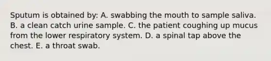 Sputum is obtained by: A. swabbing <a href='https://www.questionai.com/knowledge/krBoWYDU6j-the-mouth' class='anchor-knowledge'>the mouth</a> to sample saliva. B. a clean catch urine sample. C. the patient coughing up mucus from the lower respiratory system. D. a spinal tap above the chest. E. a throat swab.