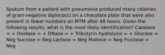 Sputum from a patient with pneumonia produced many colonies of gram-negative diplococci on a chocolate plate that were also present in fewer numbers on MTM after 48 hours. Given the following results, what is the most likely identification? Catalase = + Oxidase = + DNase = + Tributyrin hydrolysis = + Glucose = Neg Sucrose = Neg Lactose = Neg Maltose = Neg Fructose = Neg