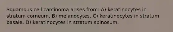 Squamous cell carcinoma arises from: A) keratinocytes in stratum corneum. B) melanocytes. C) keratinocytes in stratum basale. D) keratinocytes in stratum spinosum.