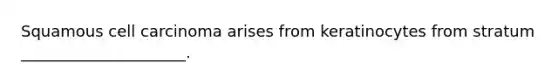 Squamous cell carcinoma arises from keratinocytes from stratum _____________________.