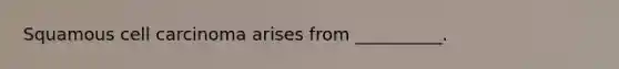 Squamous cell carcinoma arises from __________.