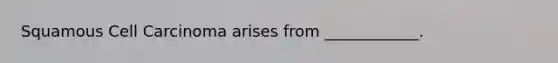 Squamous Cell Carcinoma arises from ____________.