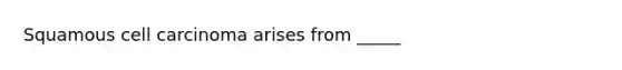 Squamous cell carcinoma arises from _____