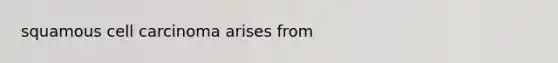 squamous cell carcinoma arises from