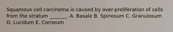 Squamous cell carcinoma is caused by over-proliferation of cells from the stratum _______. A. Basale B. Spinosum C. Granulosum D. Lucidum E. Corneum