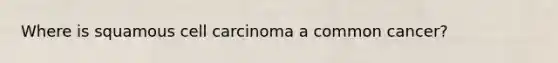 Where is squamous cell carcinoma a common cancer?
