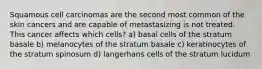 Squamous cell carcinomas are the second most common of the skin cancers and are capable of metastasizing is not treated. This cancer affects which cells? a) basal cells of the stratum basale b) melanocytes of the stratum basale c) keratinocytes of the stratum spinosum d) langerhans cells of the stratum lucidum