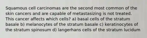 Squamous cell carcinomas are the second most common of the skin cancers and are capable of metastasizing is not treated. This cancer affects which cells? a) basal cells of the stratum basale b) melanocytes of the stratum basale c) keratinocytes of the stratum spinosum d) langerhans cells of the stratum lucidum