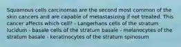 Squamous cells carcinomas are the second most common of the skin cancers and are capable of metastasizing if not treated. This cancer affects which cell? - Langerhans cells of the stratum lucidum - basale cells of the stratum basale - melanocytes of the stratum basale - keratinocytes of the stratum spinosum