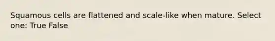 Squamous cells are flattened and scale-like when mature. Select one: True False