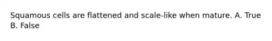 Squamous cells are flattened and scale-like when mature. A. True B. False