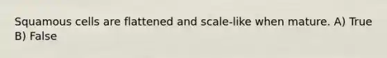 Squamous cells are flattened and scale-like when mature. A) True B) False