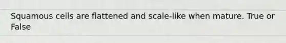 Squamous cells are flattened and scale-like when mature. True or False