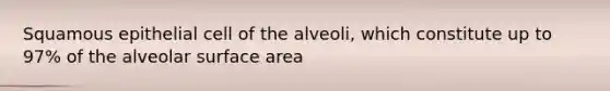 Squamous epithelial cell of the alveoli, which constitute up to 97% of the alveolar surface area