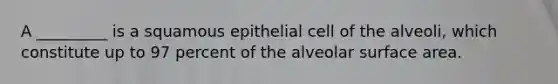 A _________ is a squamous epithelial cell of the alveoli, which constitute up to 97 percent of the alveolar <a href='https://www.questionai.com/knowledge/kEtsSAPENL-surface-area' class='anchor-knowledge'>surface area</a>.