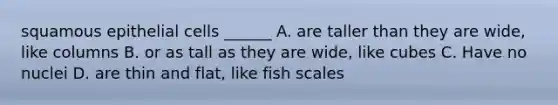 squamous epithelial cells ______ A. are taller than they are wide, like columns B. or as tall as they are wide, like cubes C. Have no nuclei D. are thin and flat, like fish scales