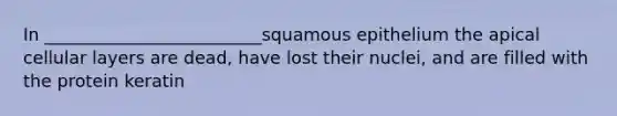 In _________________________squamous epithelium the apical cellular layers are dead, have lost their nuclei, and are filled with the protein keratin