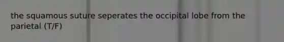 the squamous suture seperates the occipital lobe from the parietal (T/F)