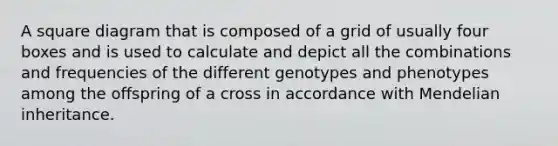 A square diagram that is composed of a grid of usually four boxes and is used to calculate and depict all the combinations and frequencies of the different genotypes and phenotypes among the offspring of a cross in accordance with Mendelian inheritance.