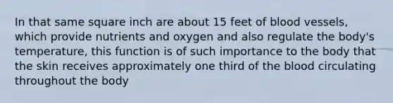 In that same square inch are about 15 feet of blood vessels, which provide nutrients and oxygen and also regulate the body's temperature, this function is of such importance to the body that the skin receives approximately one third of the blood circulating throughout the body