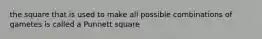 the square that is used to make all possible combinations of gametes is called a Punnett square