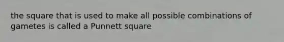 the square that is used to make all possible combinations of gametes is called a Punnett square