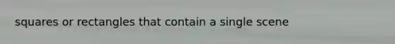 squares or rectangles that contain a single scene