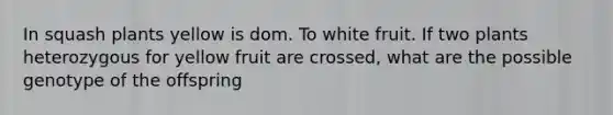 In squash plants yellow is dom. To white fruit. If two plants heterozygous for yellow fruit are crossed, what are the possible genotype of the offspring
