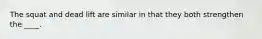 The squat and dead lift are similar in that they both strengthen the ____.
