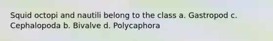 Squid octopi and nautili belong to the class a. Gastropod c. Cephalopoda b. Bivalve d. Polycaphora