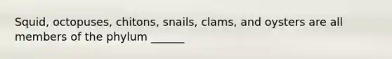 Squid, octopuses, chitons, snails, clams, and oysters are all members of the phylum ______
