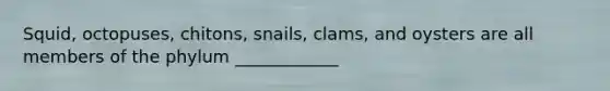 Squid, octopuses, chitons, snails, clams, and oysters are all members of the phylum ____________