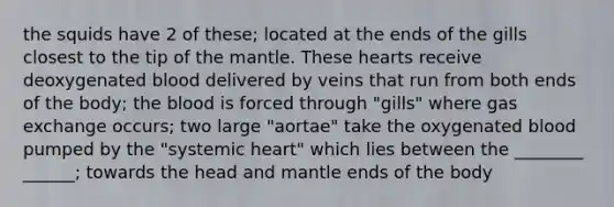 the squids have 2 of these; located at the ends of the gills closest to the tip of the mantle. These hearts receive deoxygenated blood delivered by veins that run from both ends of the body; the blood is forced through "gills" where gas exchange occurs; two large "aortae" take the oxygenated blood pumped by the "systemic heart" which lies between the ________ ______; towards the head and mantle ends of the body