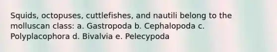 Squids, octopuses, cuttlefishes, and nautili belong to the molluscan class: a. Gastropoda b. Cephalopoda c. Polyplacophora d. Bivalvia e. Pelecypoda