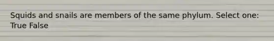 Squids and snails are members of the same phylum. Select one: True False