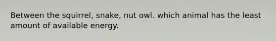 Between the squirrel, snake, nut owl. which animal has the least amount of available energy.