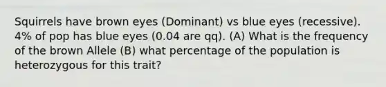 Squirrels have brown eyes (Dominant) vs blue eyes (recessive). 4% of pop has blue eyes (0.04 are qq). (A) What is the frequency of the brown Allele (B) what percentage of the population is heterozygous for this trait?