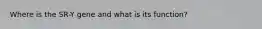 Where is the SR-Y gene and what is its function?