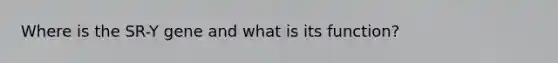Where is the SR-Y gene and what is its function?