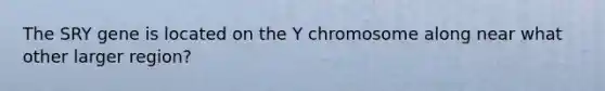 The SRY gene is located on the Y chromosome along near what other larger region?