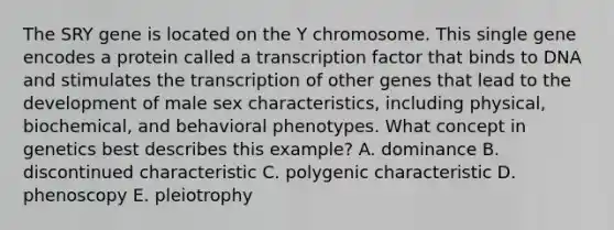 The SRY gene is located on the Y chromosome. This single gene encodes a protein called a transcription factor that binds to DNA and stimulates the transcription of other genes that lead to the development of male sex characteristics, including physical, biochemical, and behavioral phenotypes. What concept in genetics best describes this example? A. dominance B. discontinued characteristic C. polygenic characteristic D. phenoscopy E. pleiotrophy