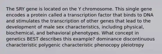 The SRY gene is located on the Y chromosome. This single gene encodes a protein called a transcription factor that binds to DNA and stimulates the transcription of other genes that lead to the development of male sex characteristics, including physical, biochemical, and behavioral phenotypes. What concept in genetics BEST describes this example? dominance discontinuous characteristic polygenic characteristic phenocopy pleiotropy