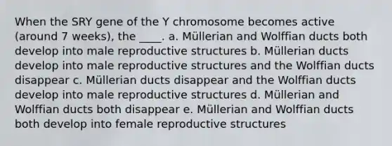 When the SRY gene of the Y chromosome becomes active (around 7 weeks), the ____. a. Müllerian and Wolffian ducts both develop into male reproductive structures b. Müllerian ducts develop into male reproductive structures and the Wolffian ducts disappear c. Müllerian ducts disappear and the Wolffian ducts develop into male reproductive structures d. Müllerian and Wolffian ducts both disappear e. Müllerian and Wolffian ducts both develop into female reproductive structures